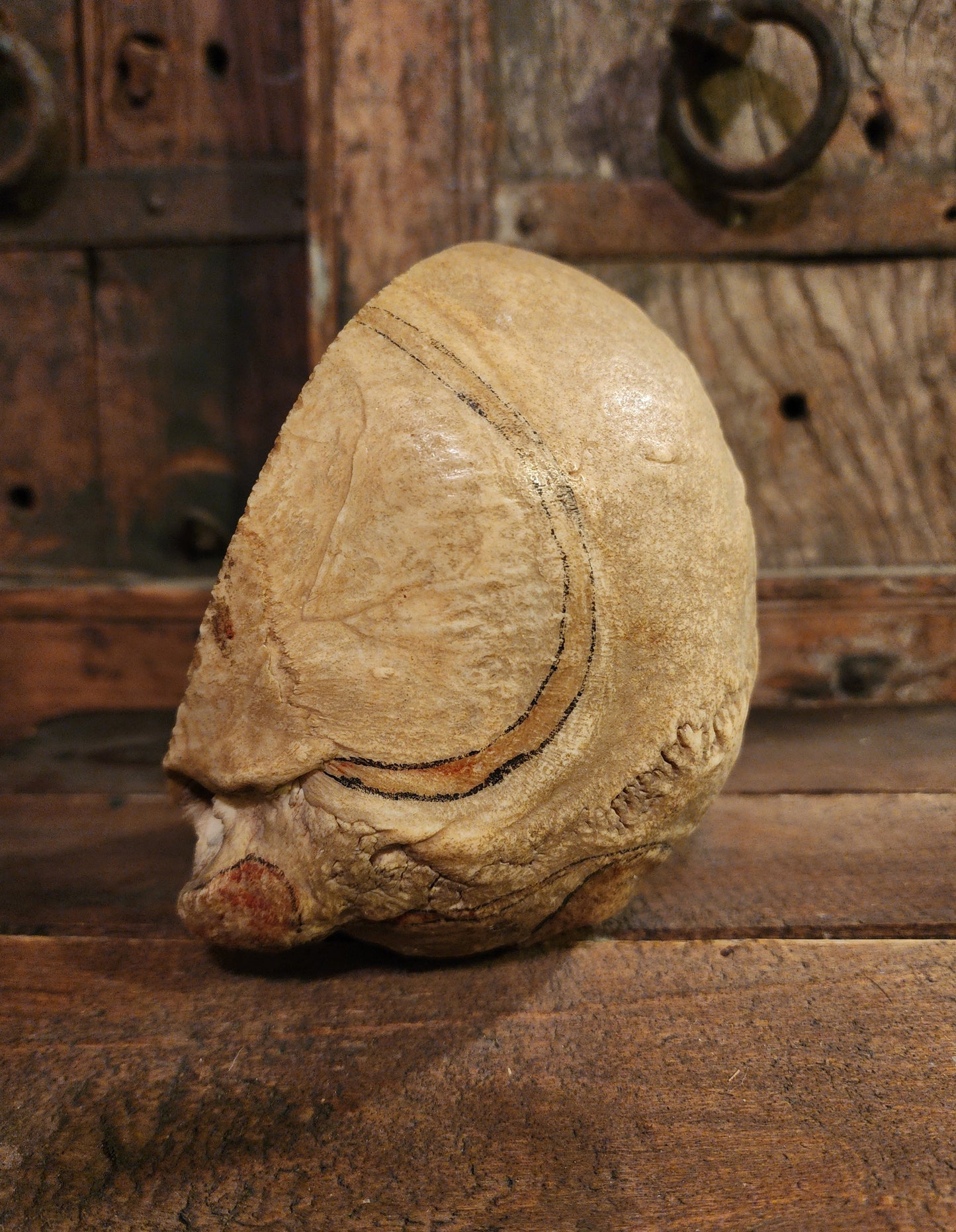 Medical Human Skull Cap