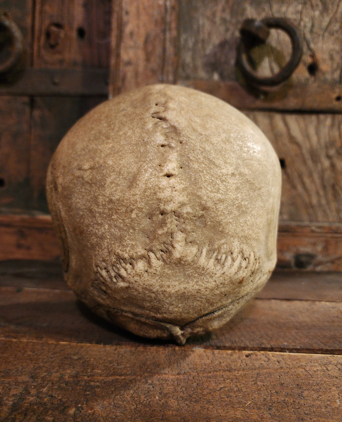Medical Human Skull Cap