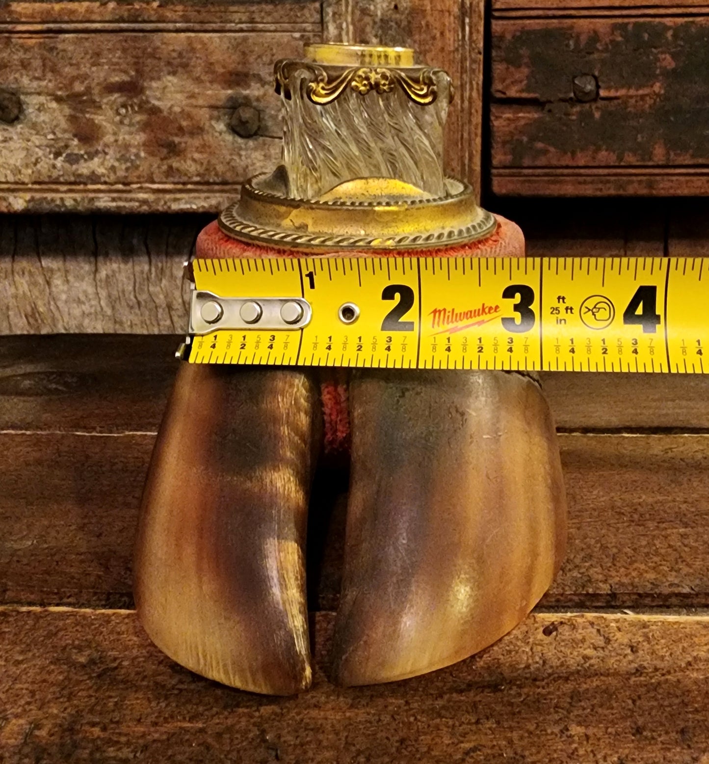 Antique, UV Reactive, Victorian Bovine Hoof Inkwell