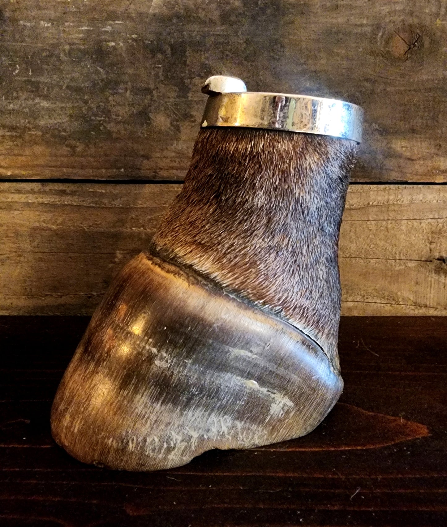 Vintage Taxidermy Zebra Hoof Ashtray