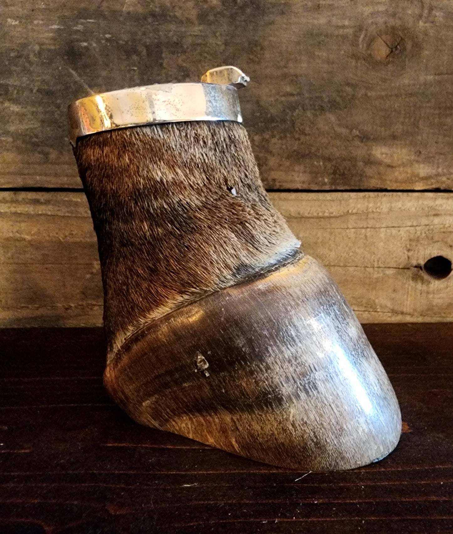 Vintage Taxidermy Zebra Hoof Ashtray