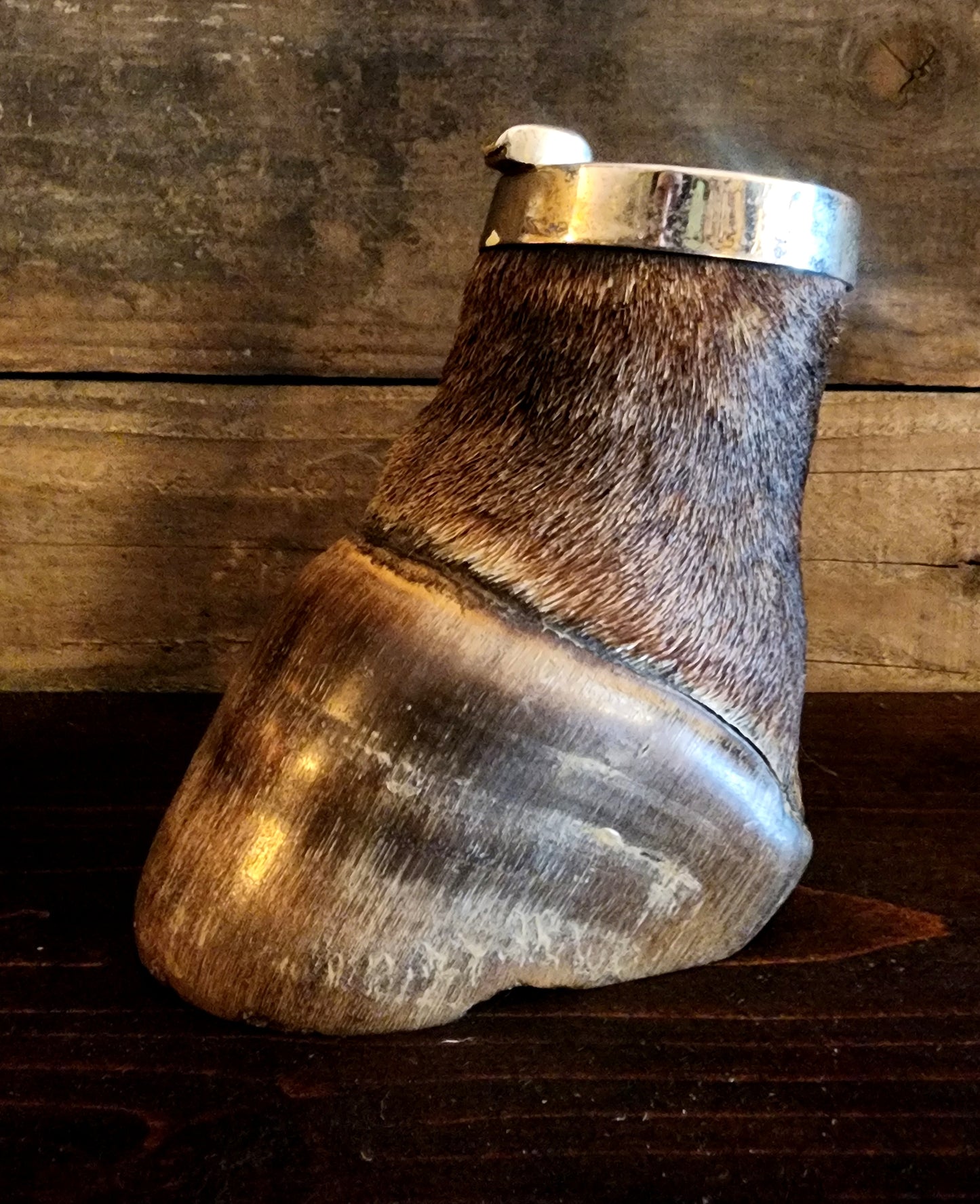 Vintage Taxidermy Zebra Hoof Ashtray