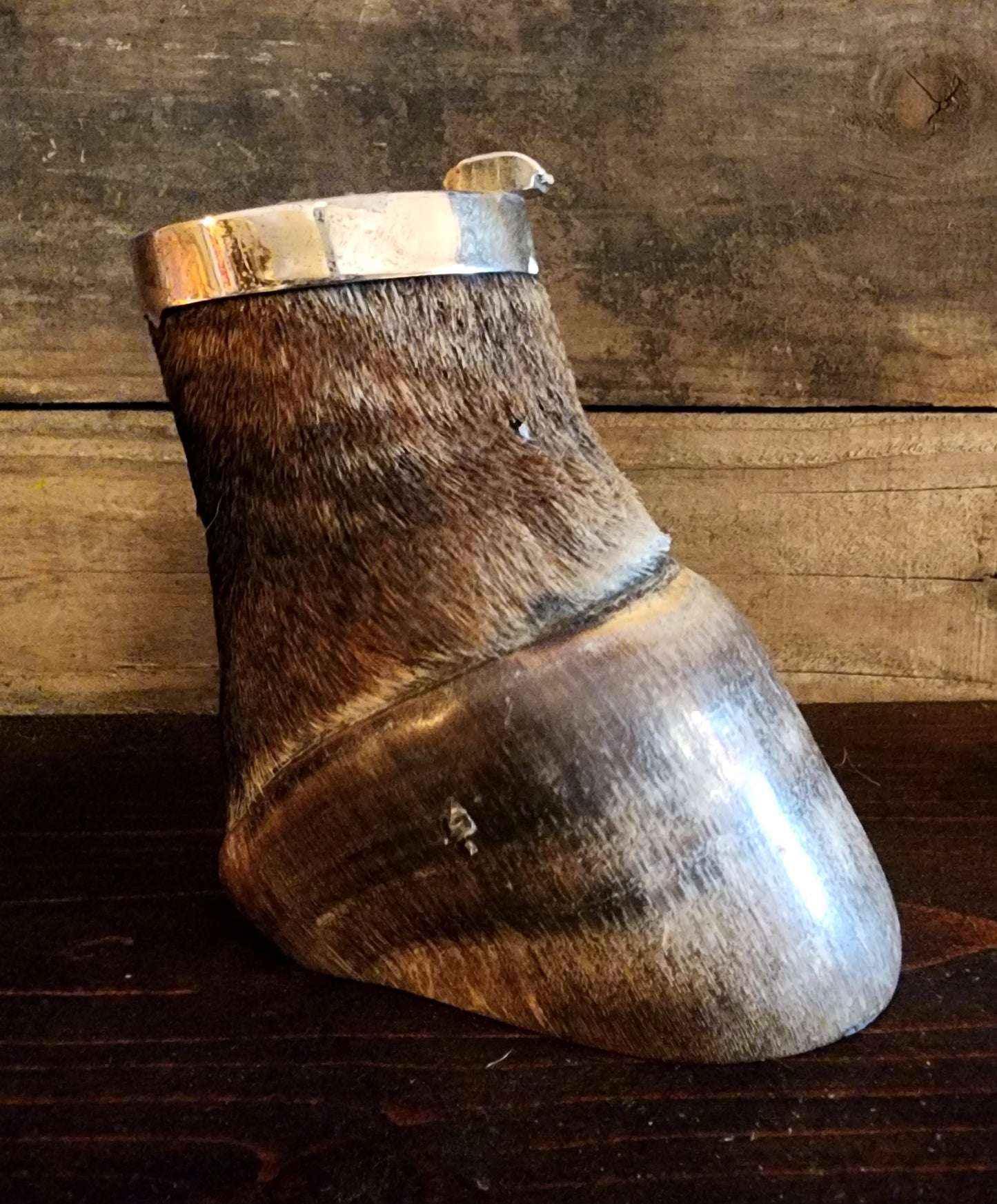 Vintage Taxidermy Zebra Hoof Ashtray