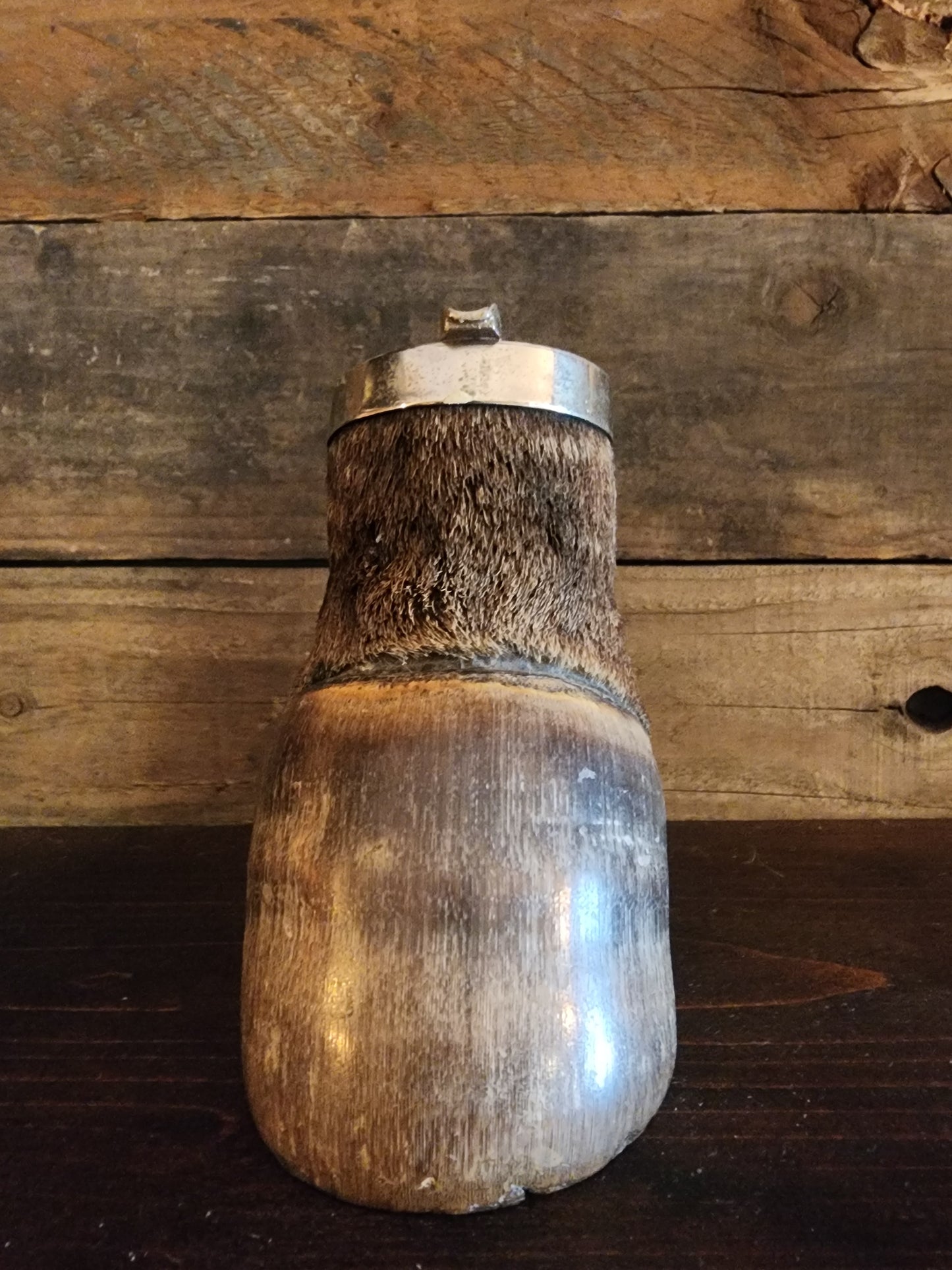 Vintage Taxidermy Zebra Hoof Ashtray