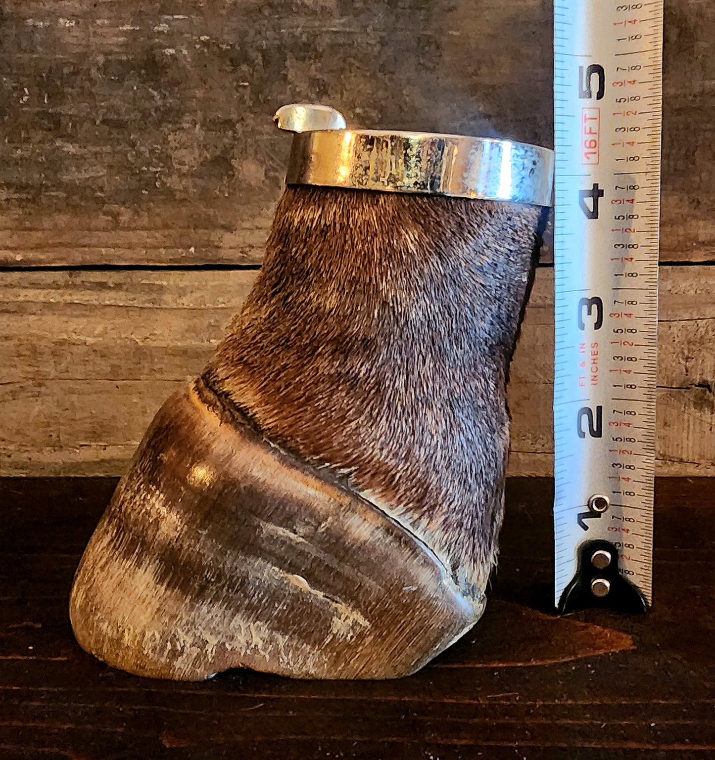 Vintage Taxidermy Zebra Hoof Ashtray