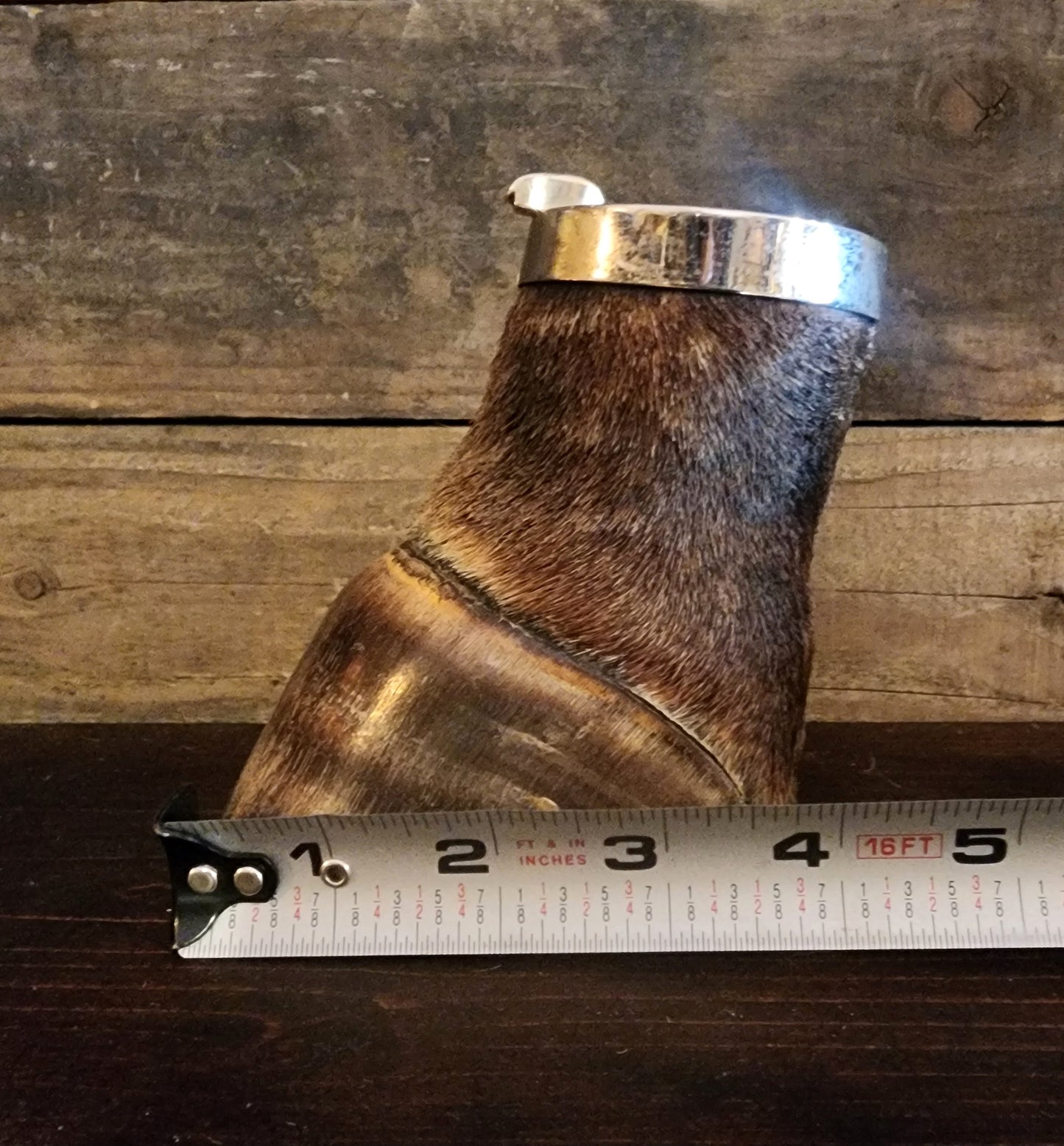 Vintage Taxidermy Zebra Hoof Ashtray