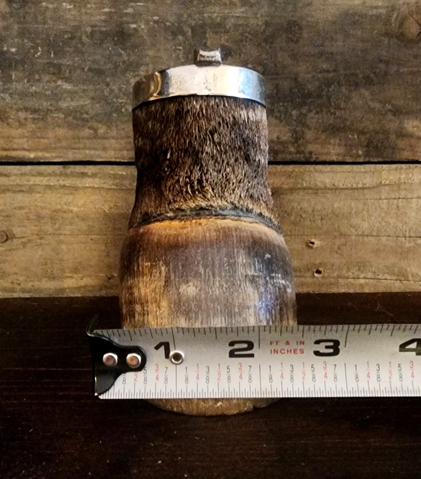 Vintage Taxidermy Zebra Hoof Ashtray