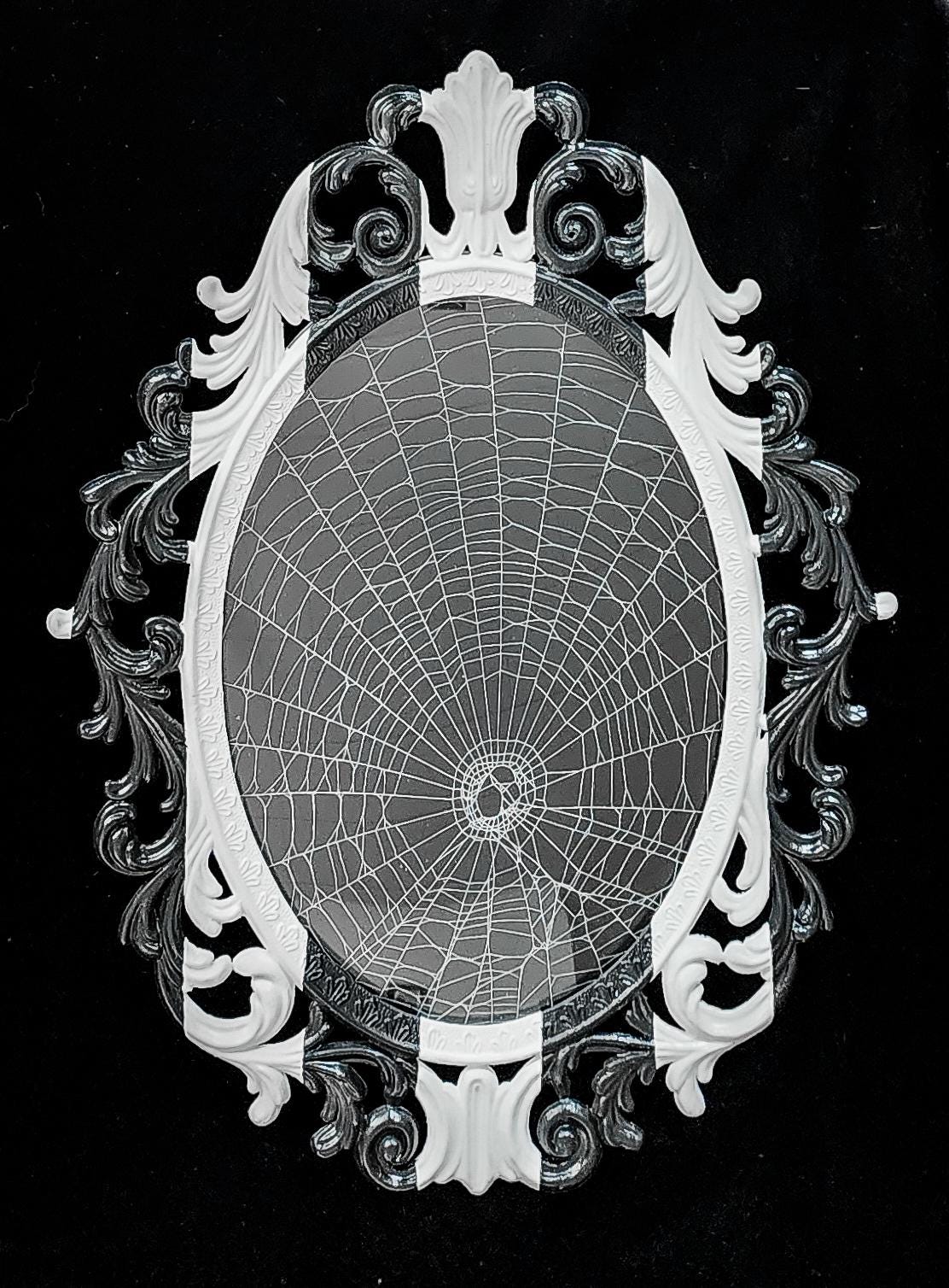 Preserved Spiderweb