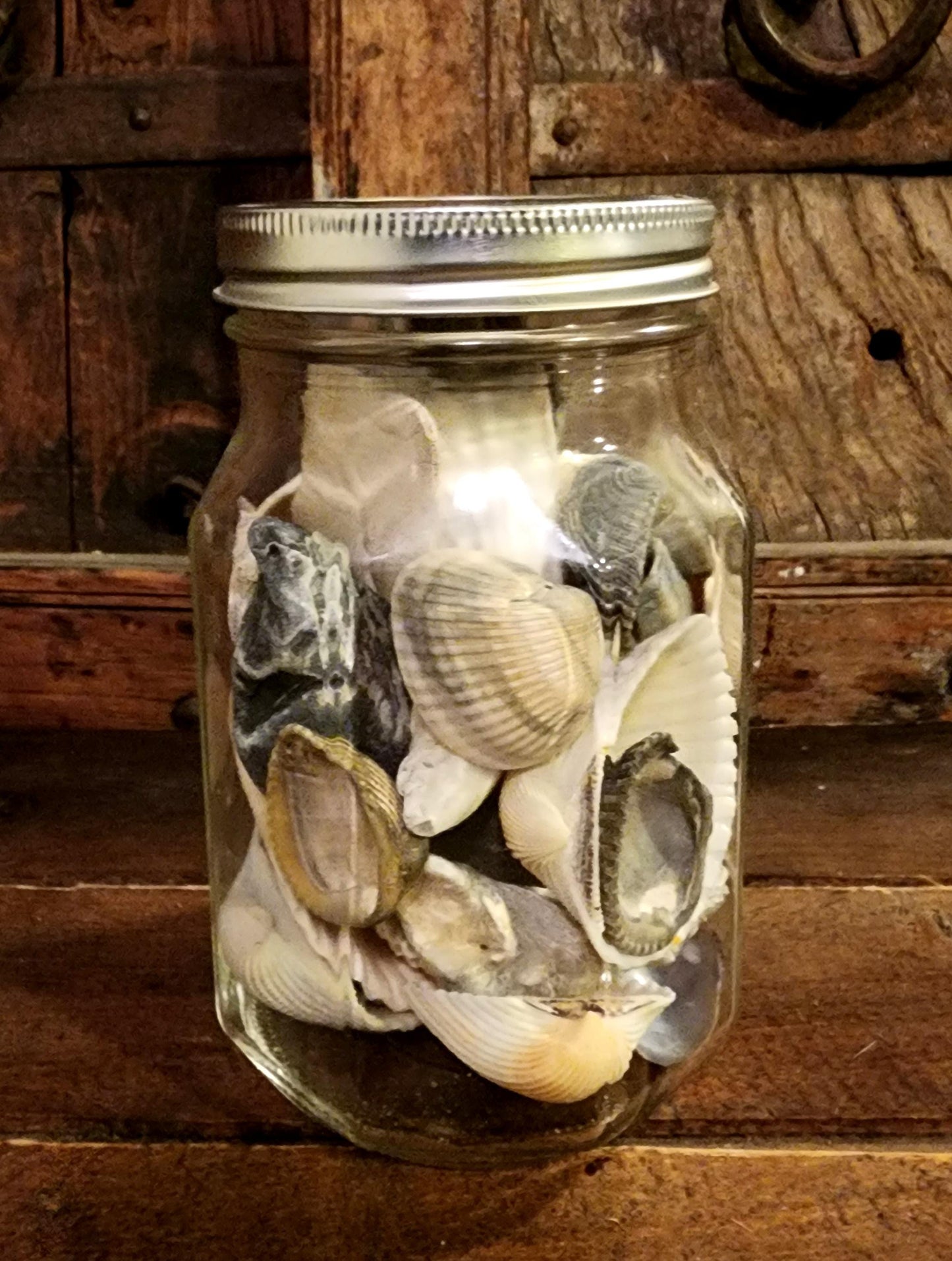 Jar O' Seashells