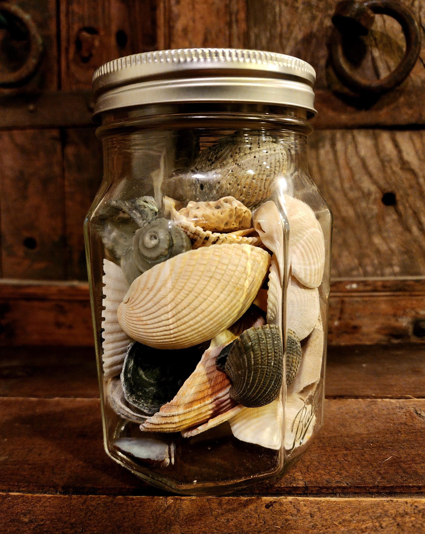 Jar O' Seashells