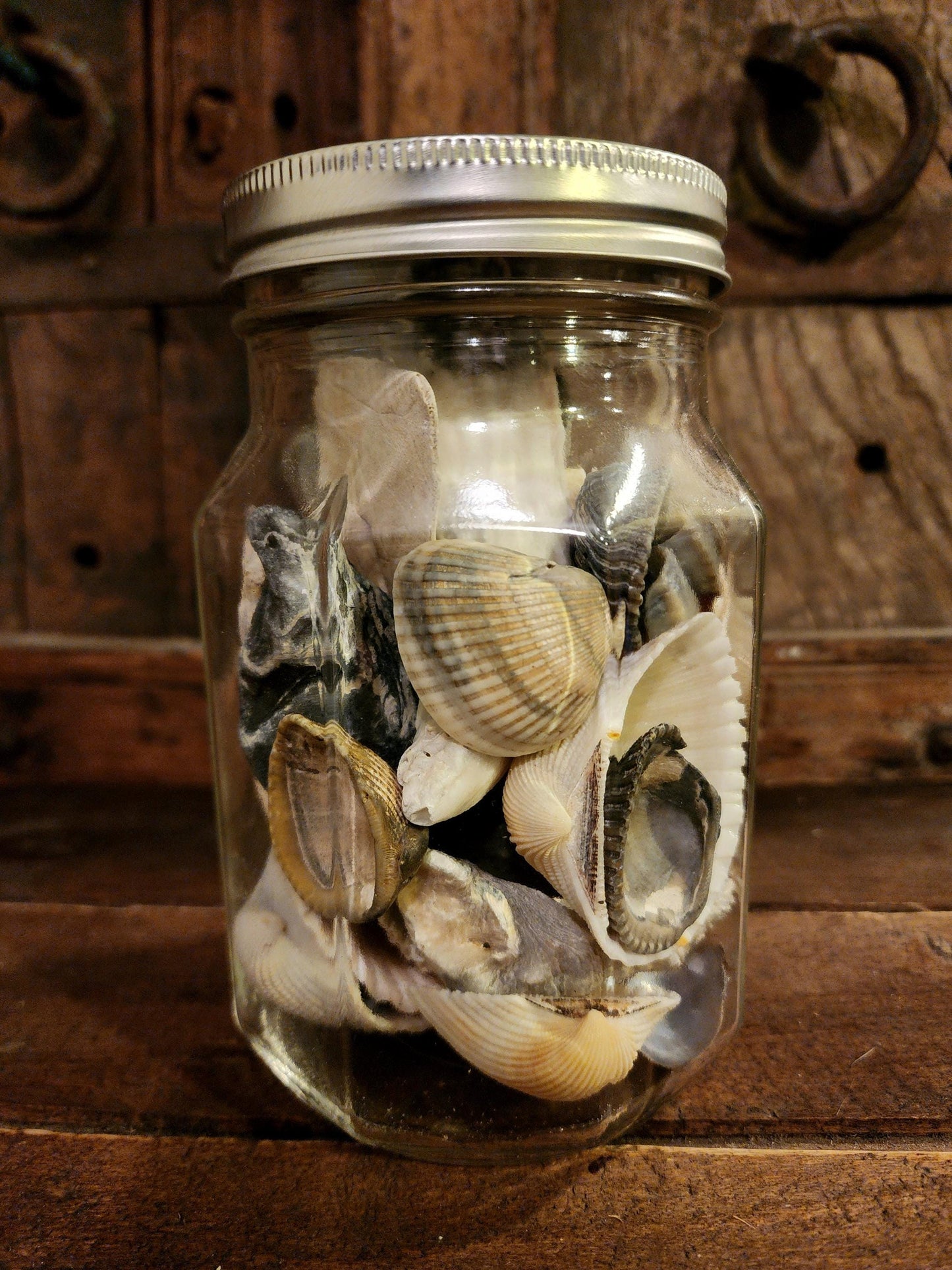 Jar O' Seashells