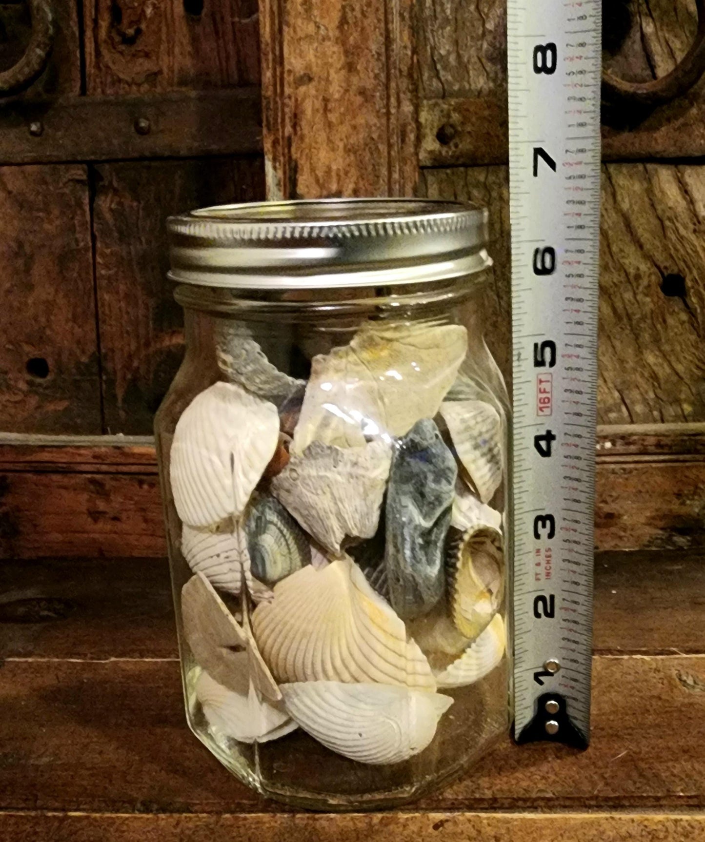 Jar O' Seashells