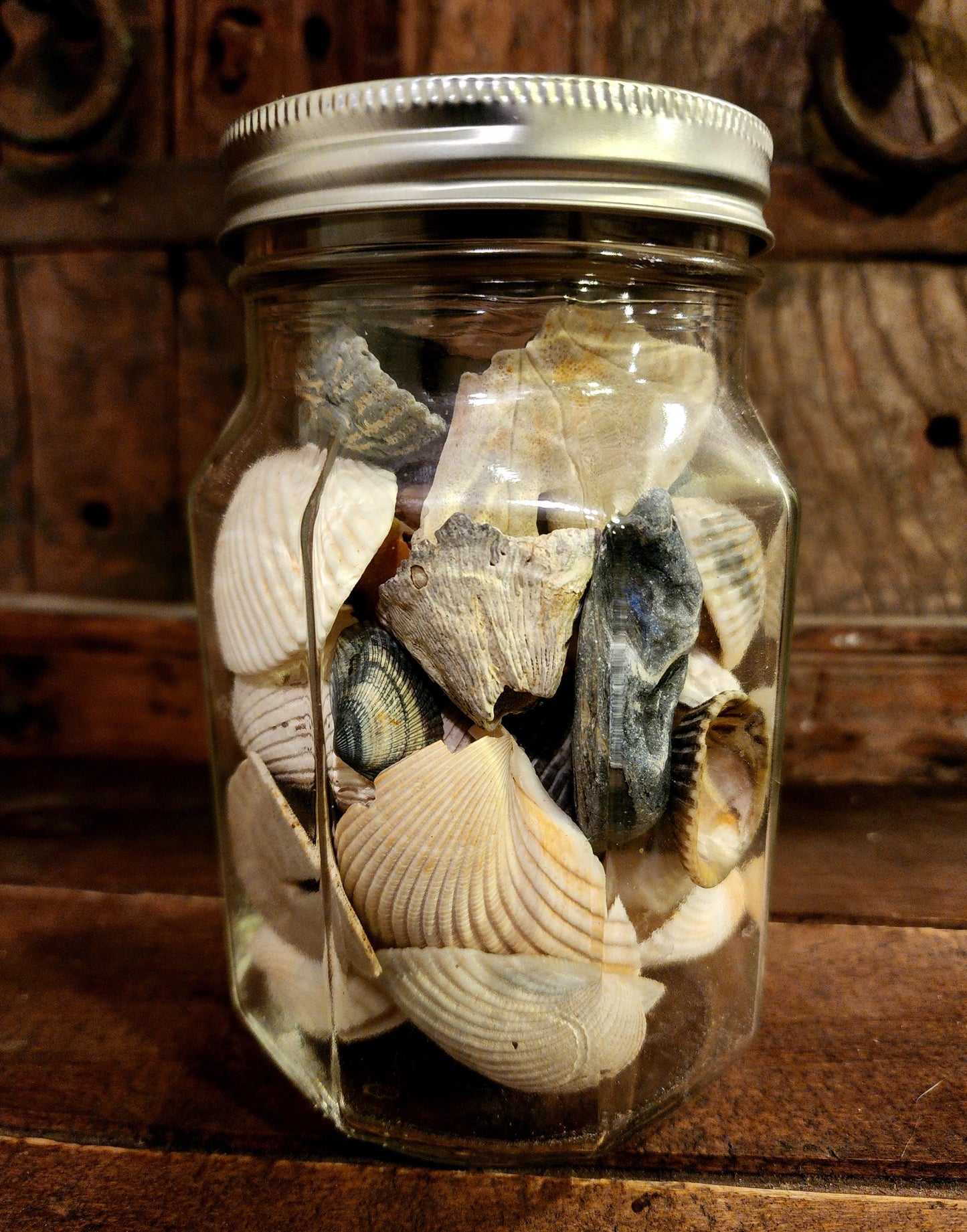 Jar O' Seashells
