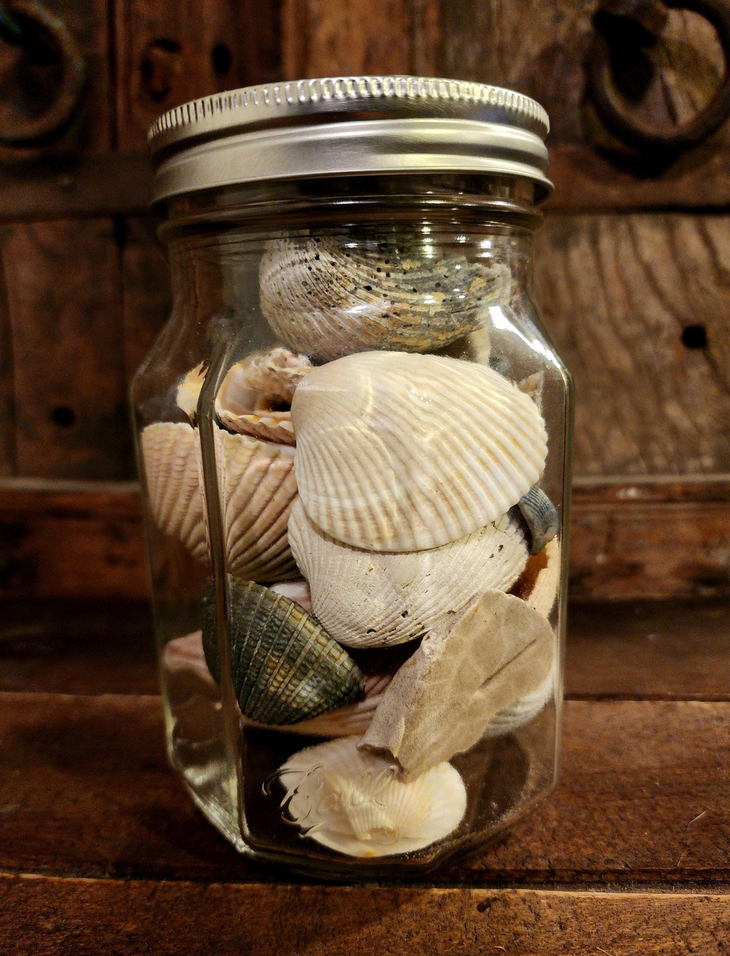 Jar O' Seashells