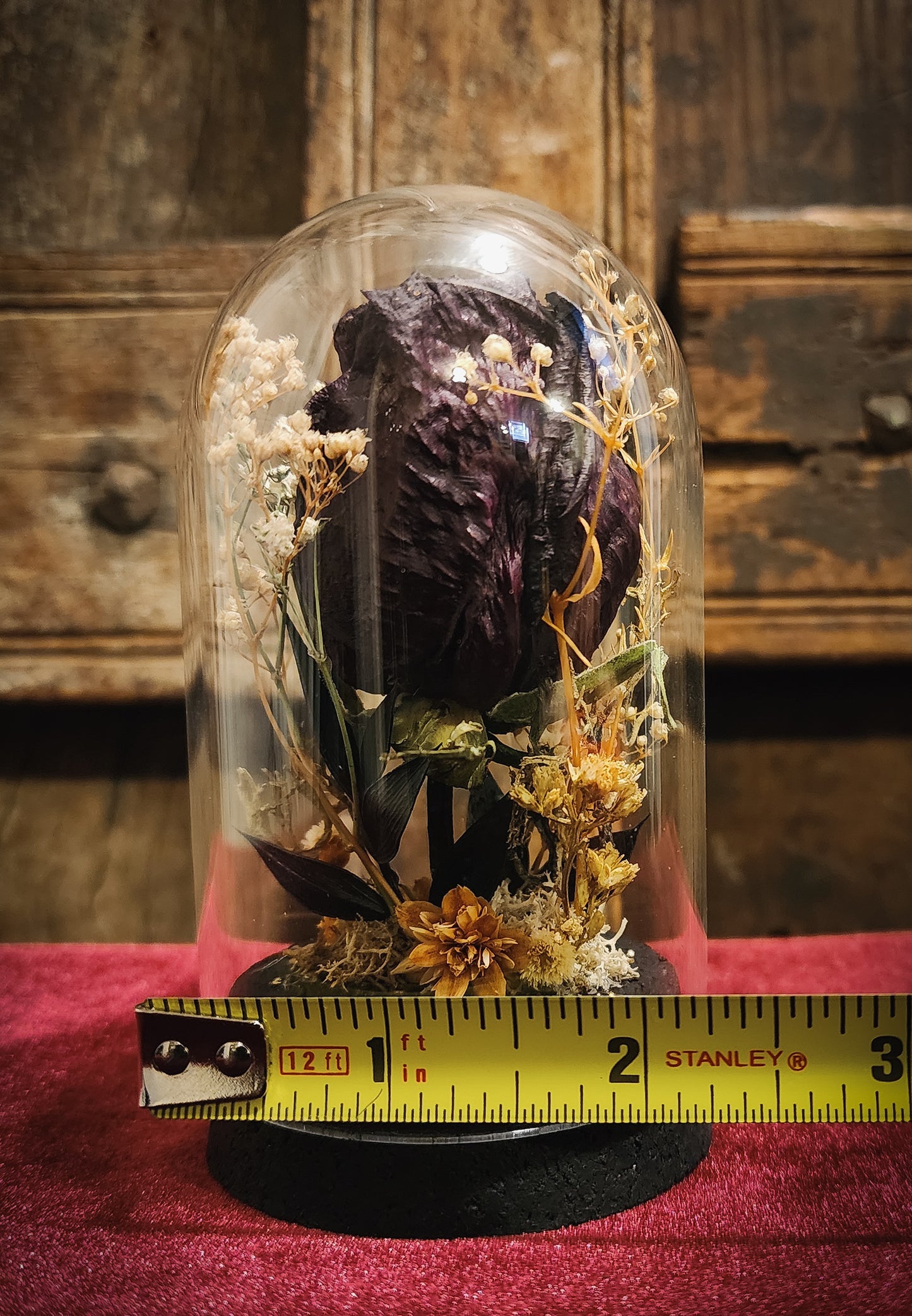 Preserved Rose Display