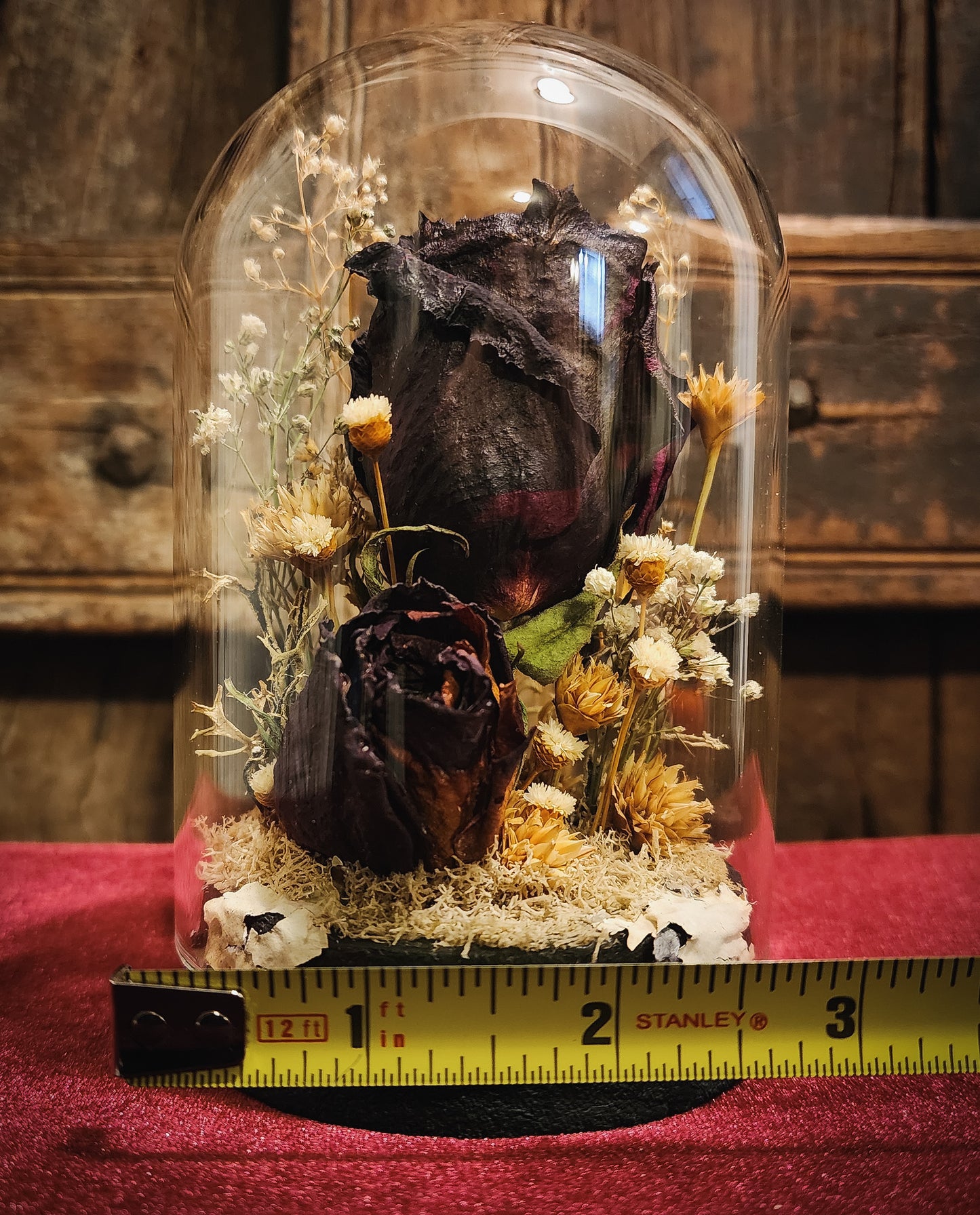 Preserved Rose Display