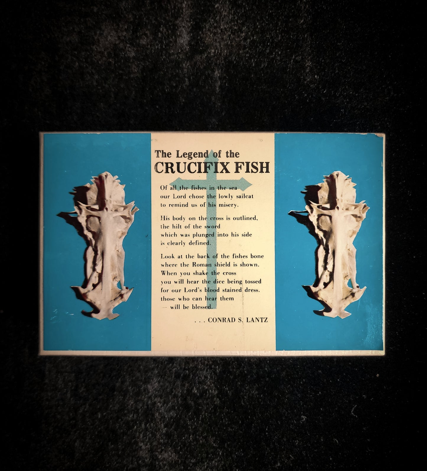 The Legend Of The Crucifix Fish