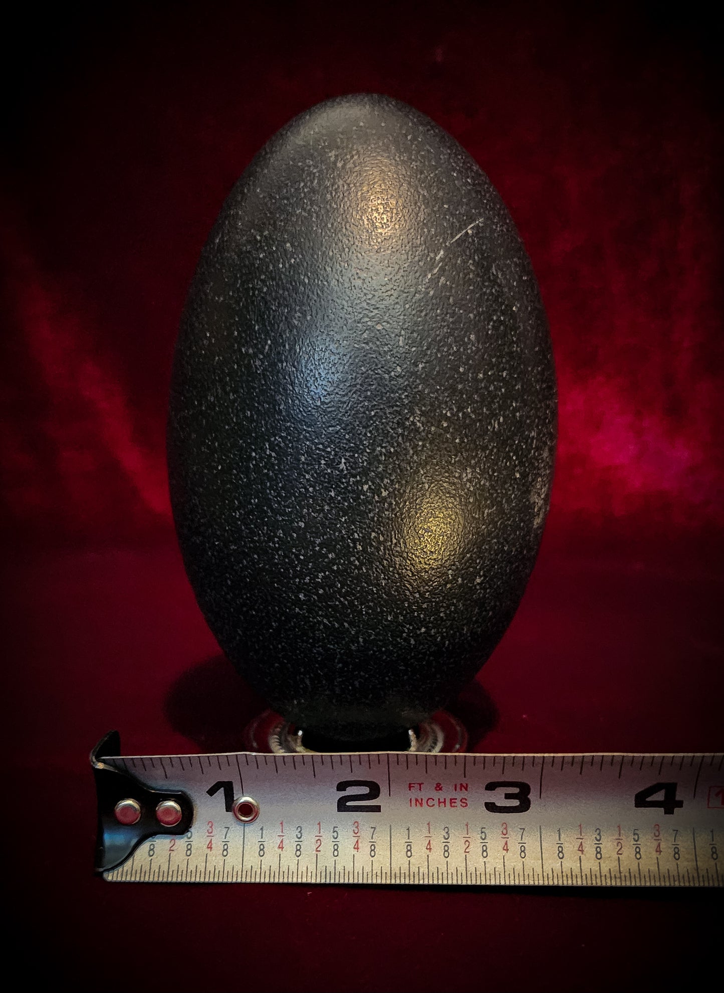 Authentic Emu Egg