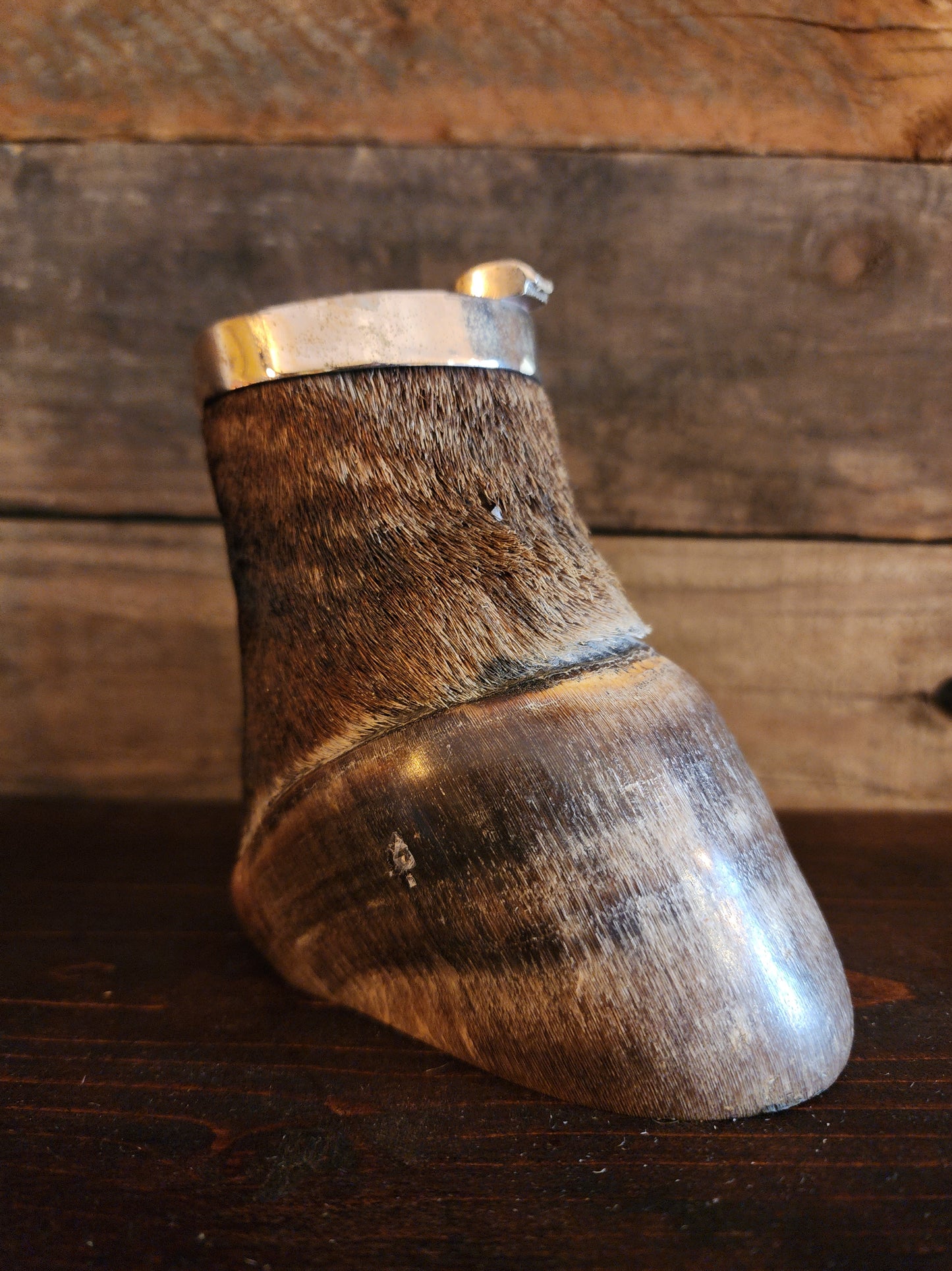 Vintage Taxidermy Zebra Hoof Ashtray