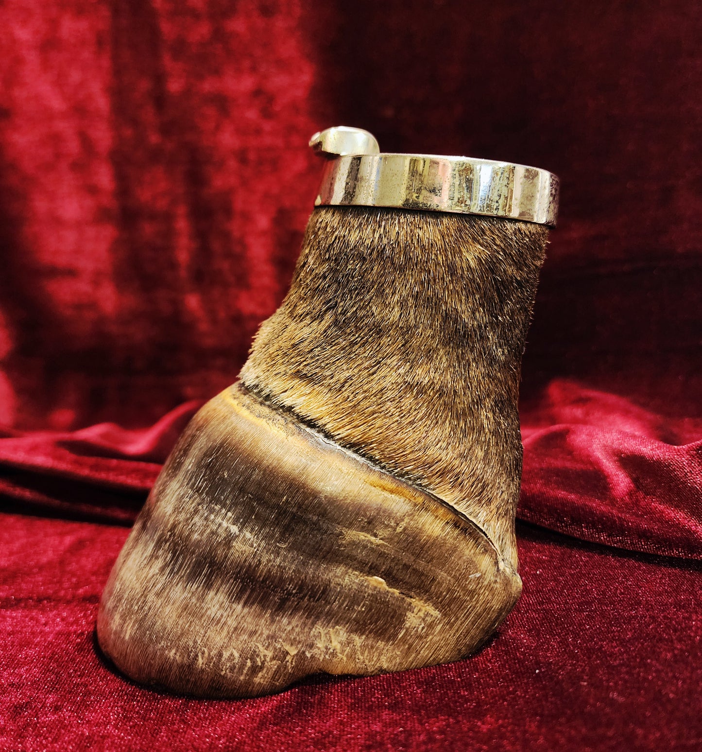 Vintage Taxidermy Zebra Hoof Ashtray
