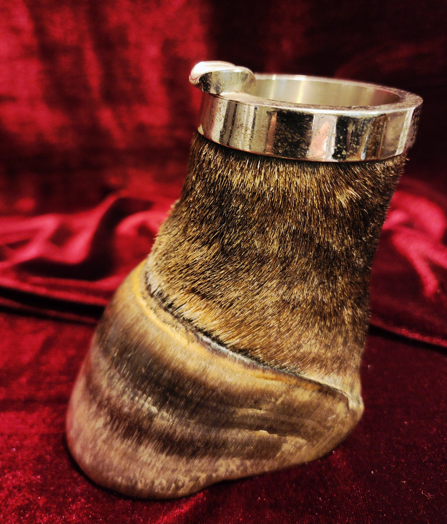 Vintage Taxidermy Zebra Hoof Ashtray