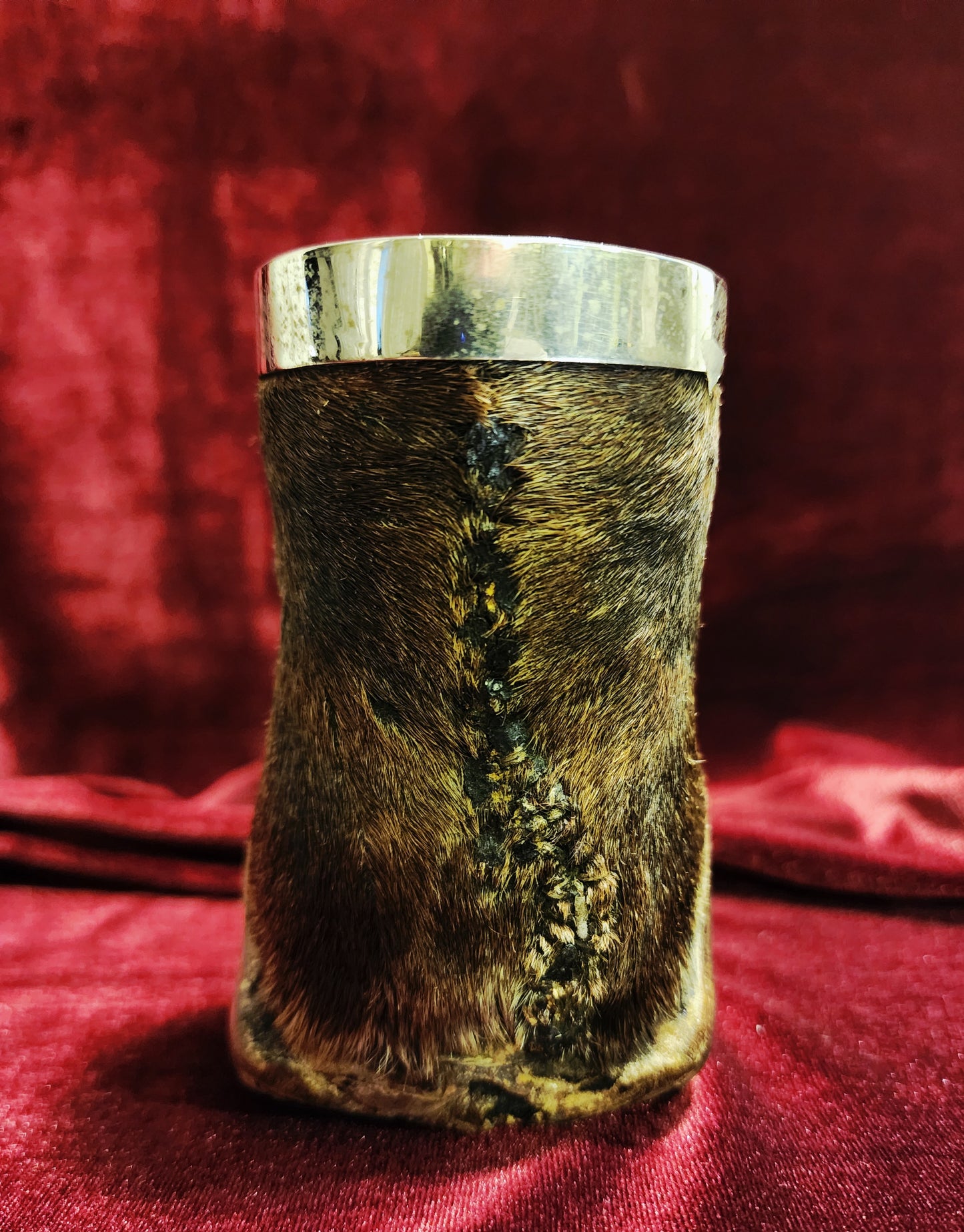 Vintage Taxidermy Zebra Hoof Ashtray