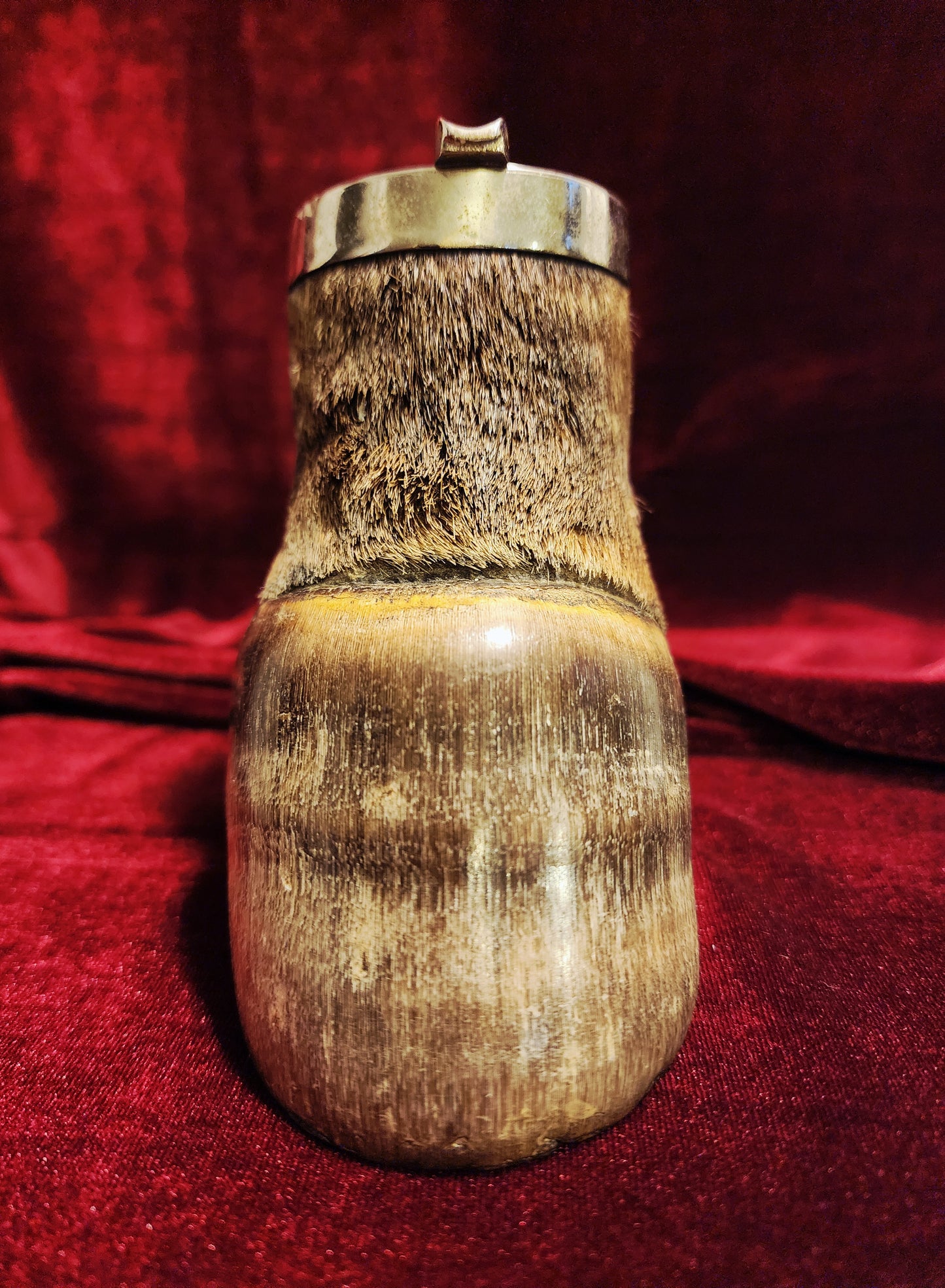 Vintage Taxidermy Zebra Hoof Ashtray