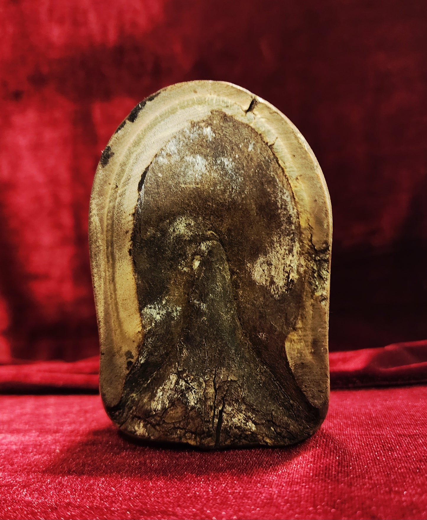 Vintage Taxidermy Zebra Hoof Ashtray