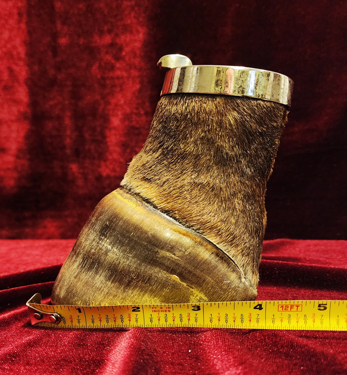 Vintage Taxidermy Zebra Hoof Ashtray