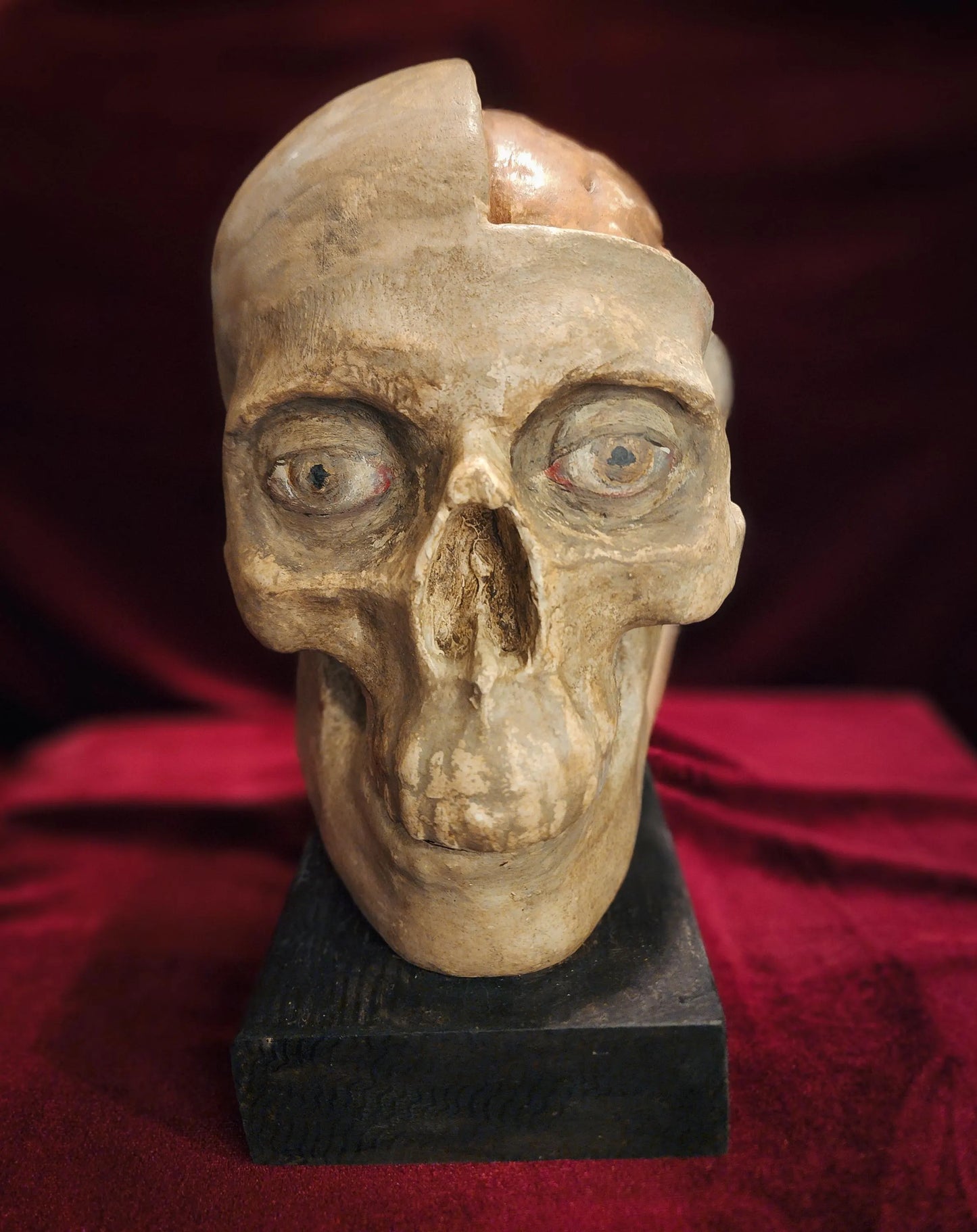 Antique Medical Skull Model