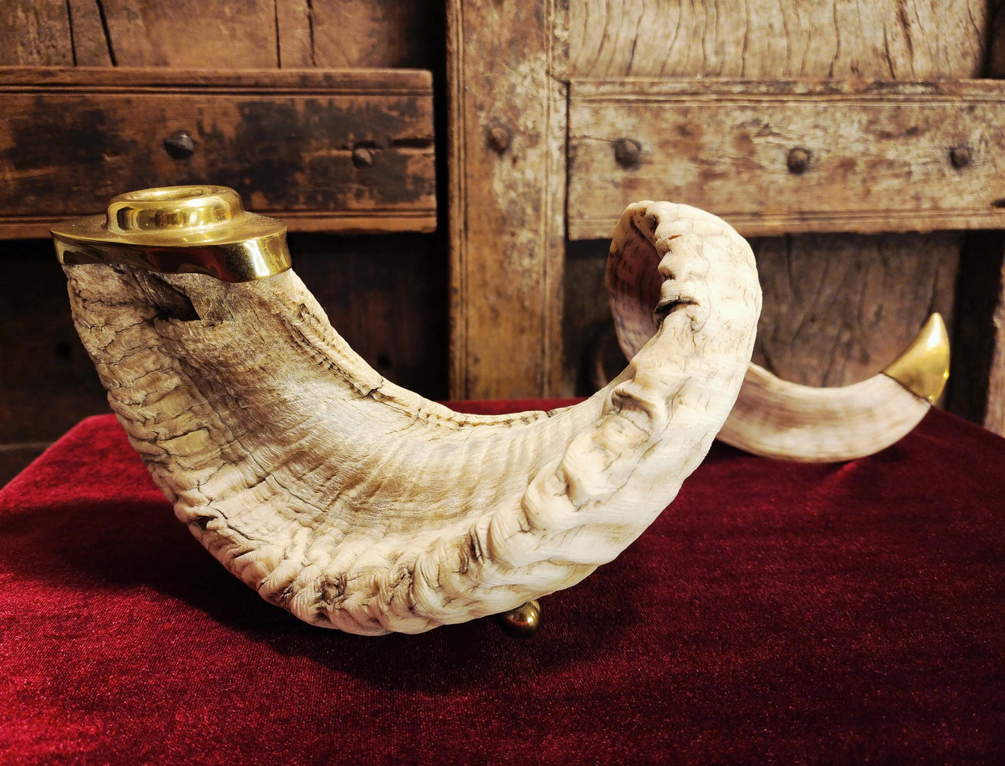 Genuine Ram Horn Candle Holder