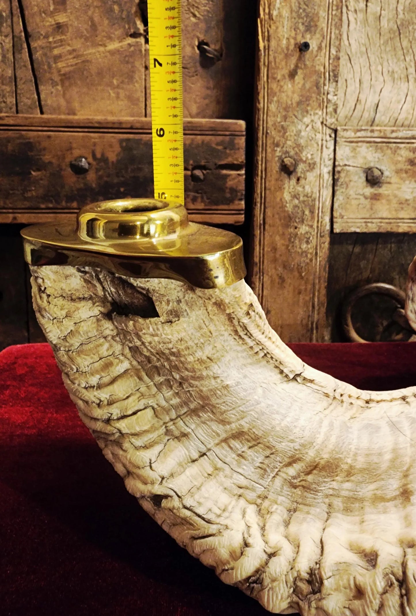 Genuine Ram Horn Candle Holder