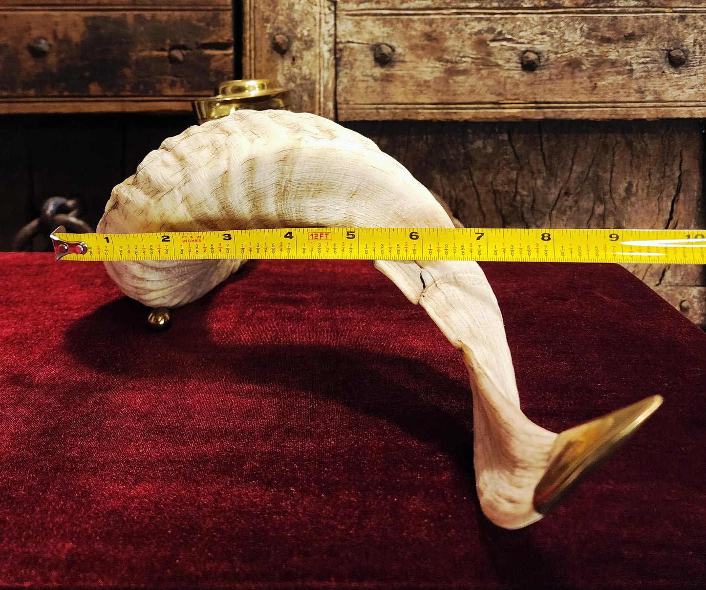 Genuine Ram Horn Candle Holder