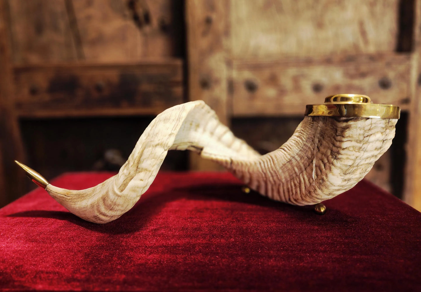 Genuine Ram Horn Candle Holder