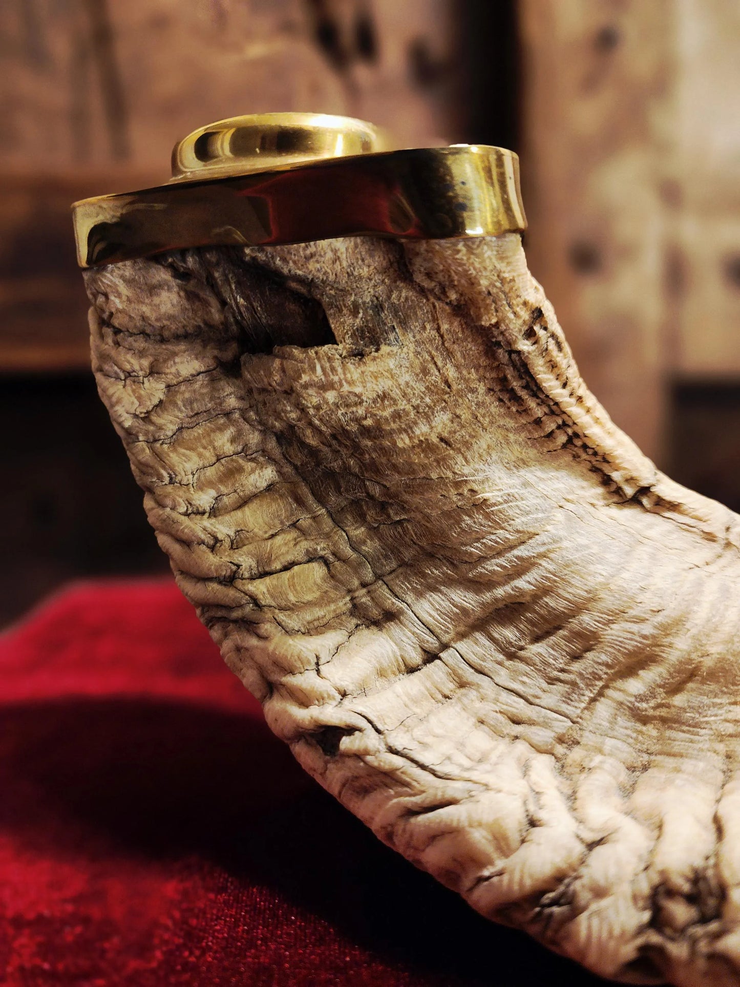 Genuine Ram Horn Candle Holder