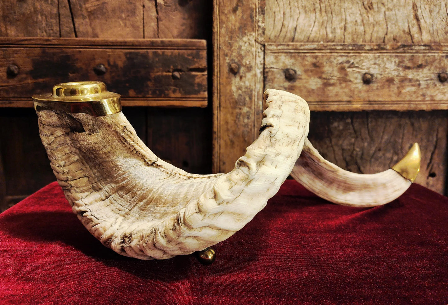 Genuine Ram Horn Candle Holder