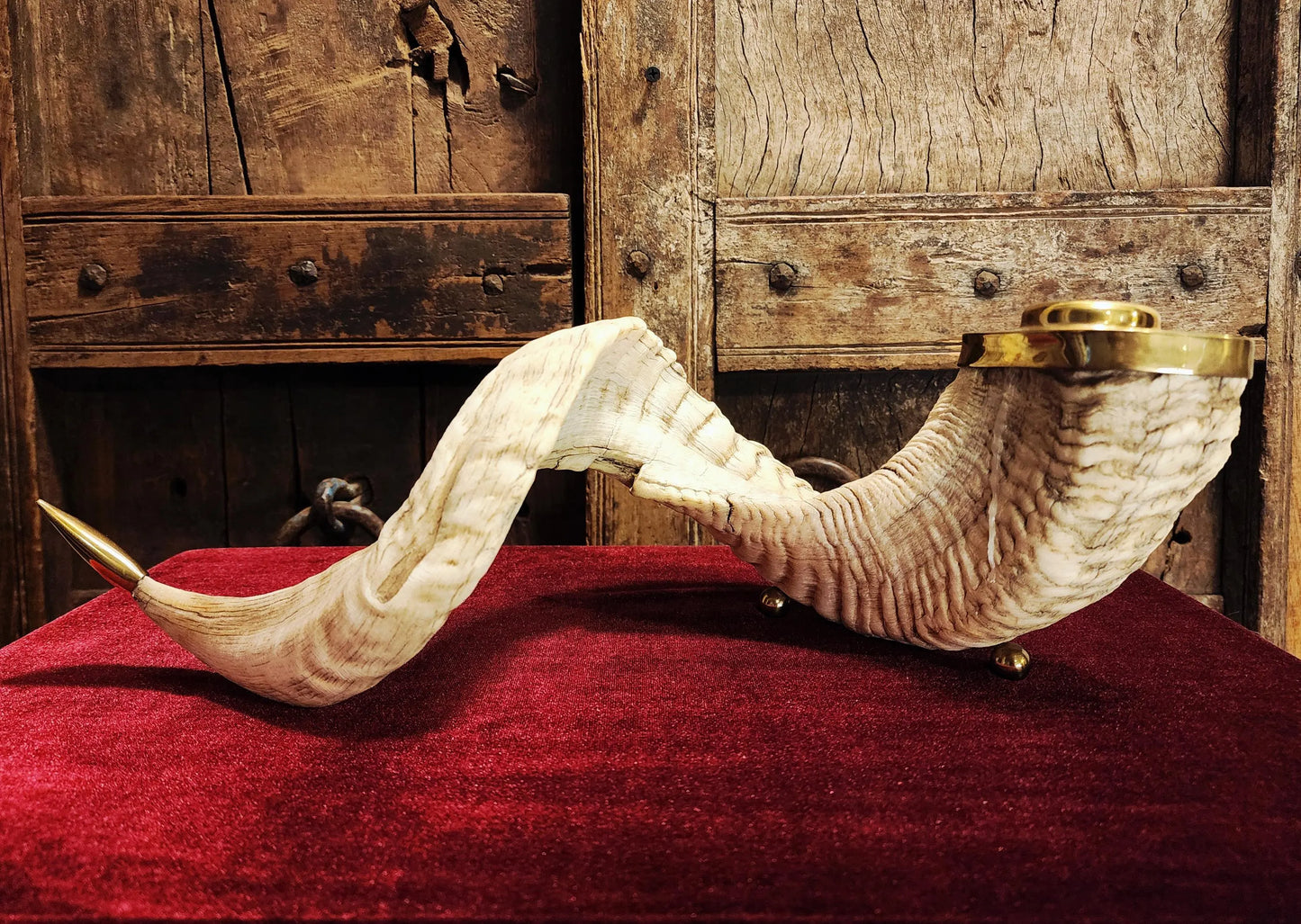 Genuine Ram Horn Candle Holder