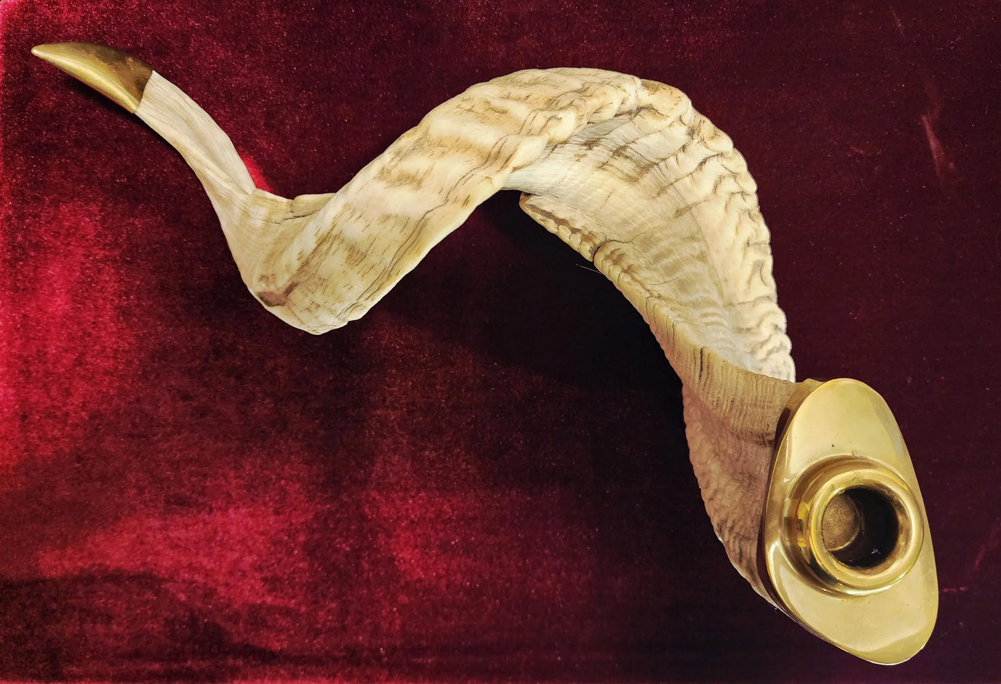 Genuine Ram Horn Candle Holder