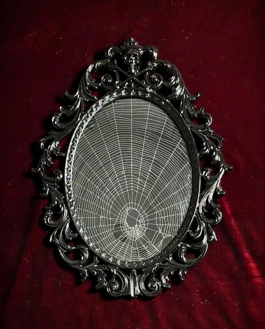 Real Preserved Spiderweb