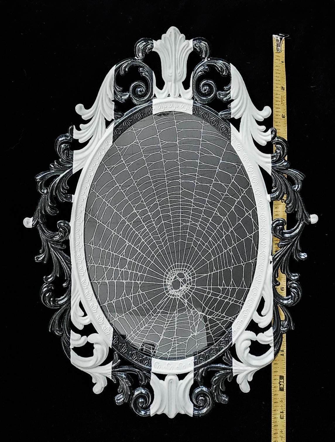 Preserved Spiderweb