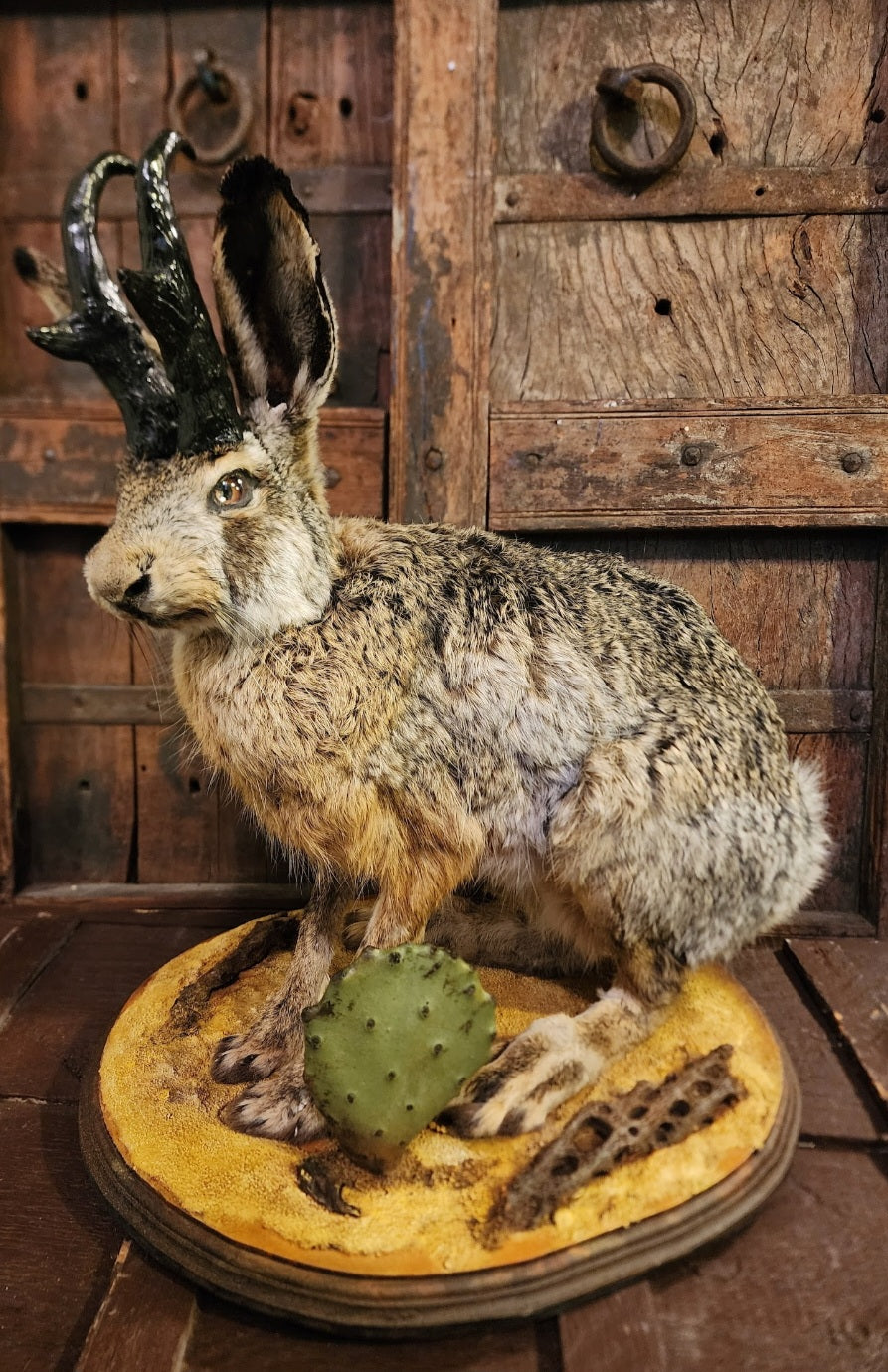 Full Body Jackalope