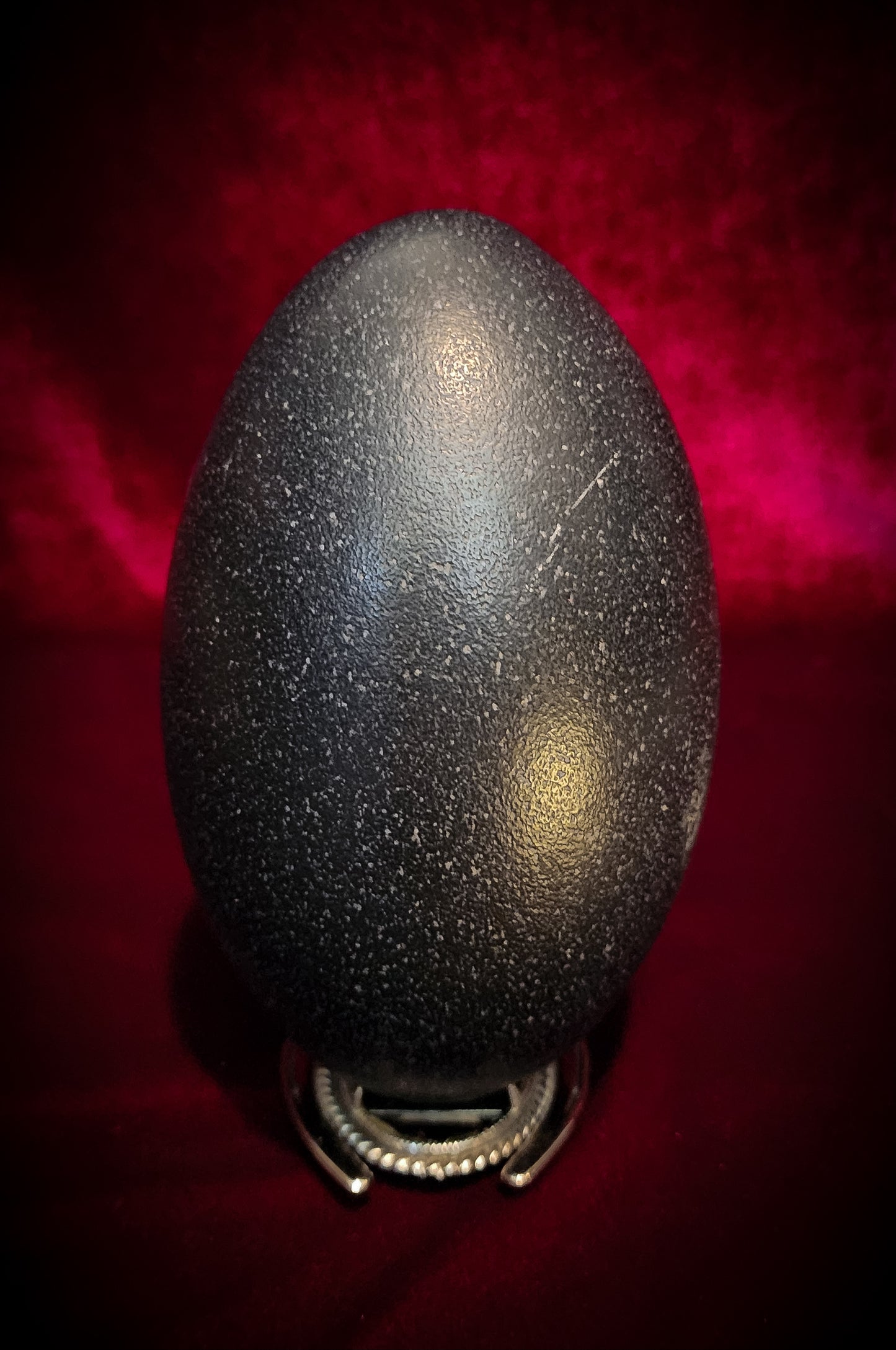 Authentic Emu Egg