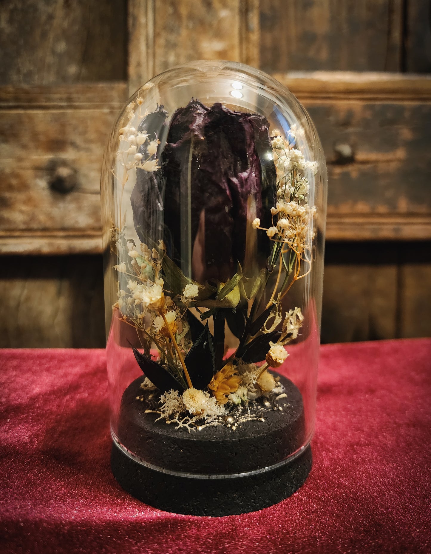 Preserved Rose Display