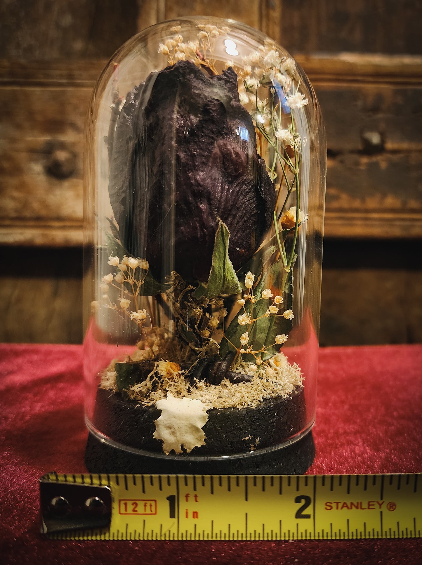 Preserved Rose Display