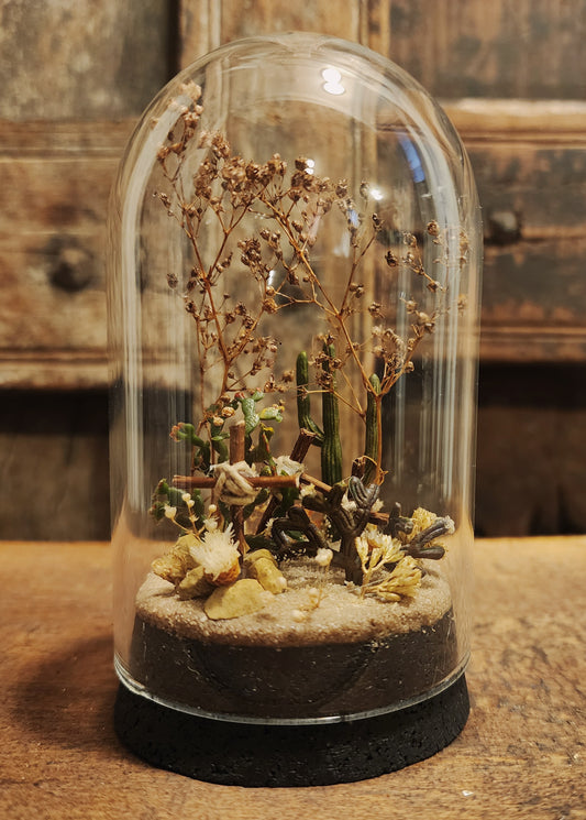 Miniature Desert Cemetery Display