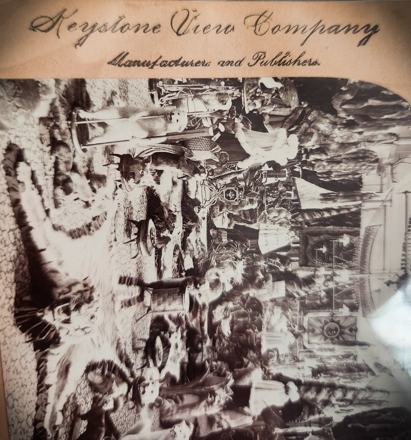 1899 Fur Parlor Stereoview Photo