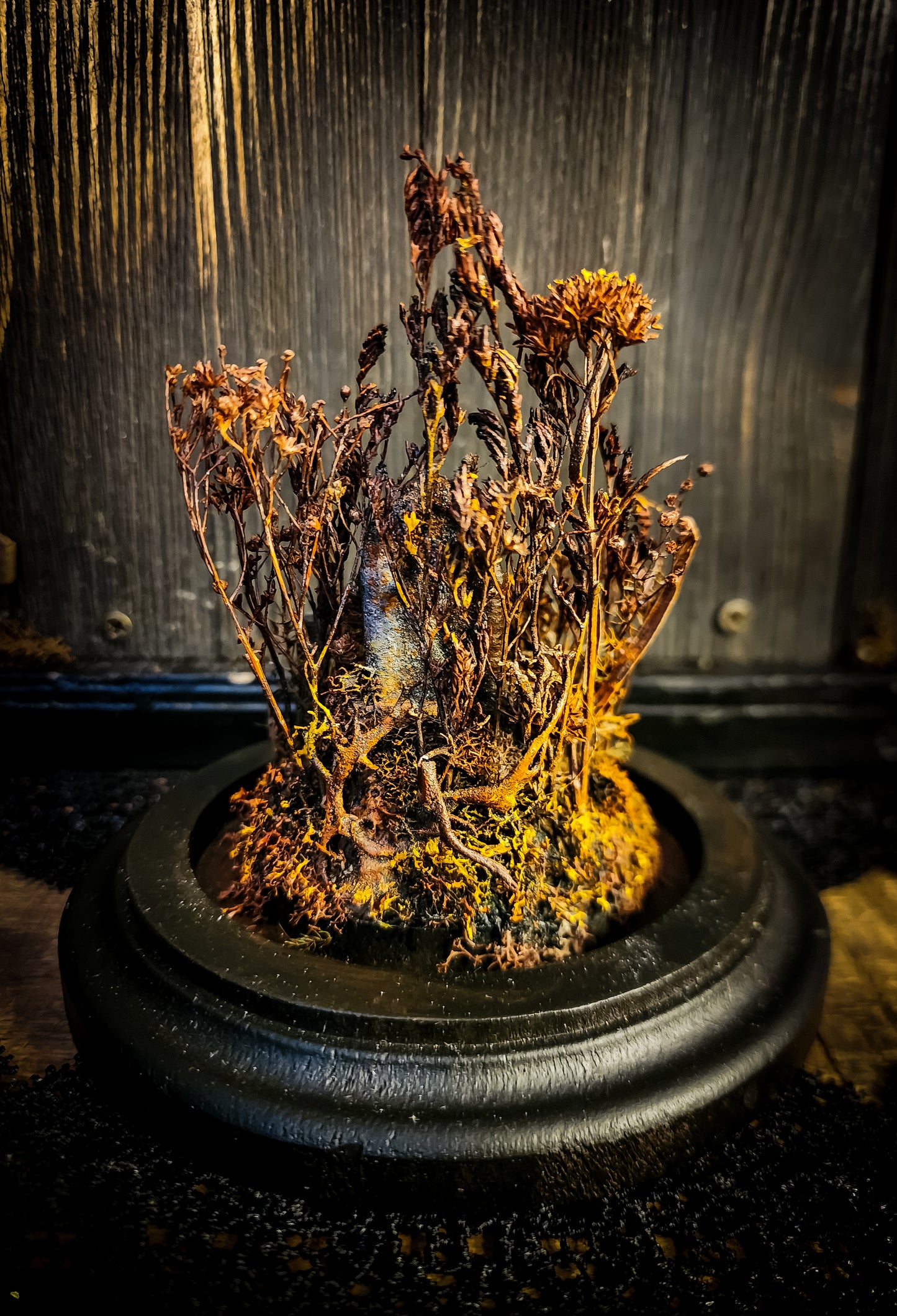 Miniature Cemetery Glass Dome Display