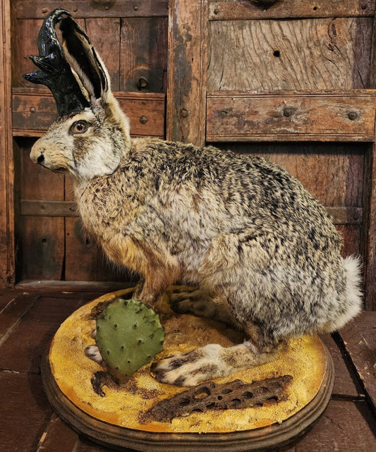 Full Body Jackalope