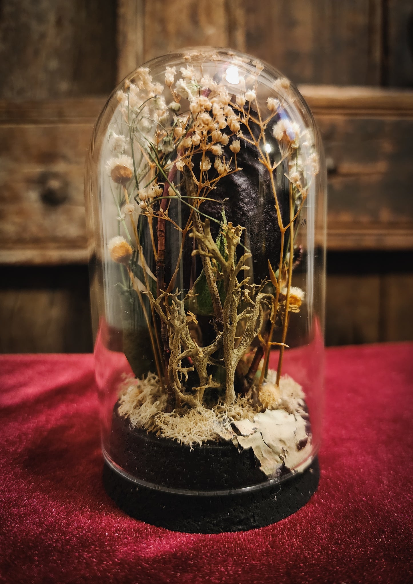 Preserved Rose Display