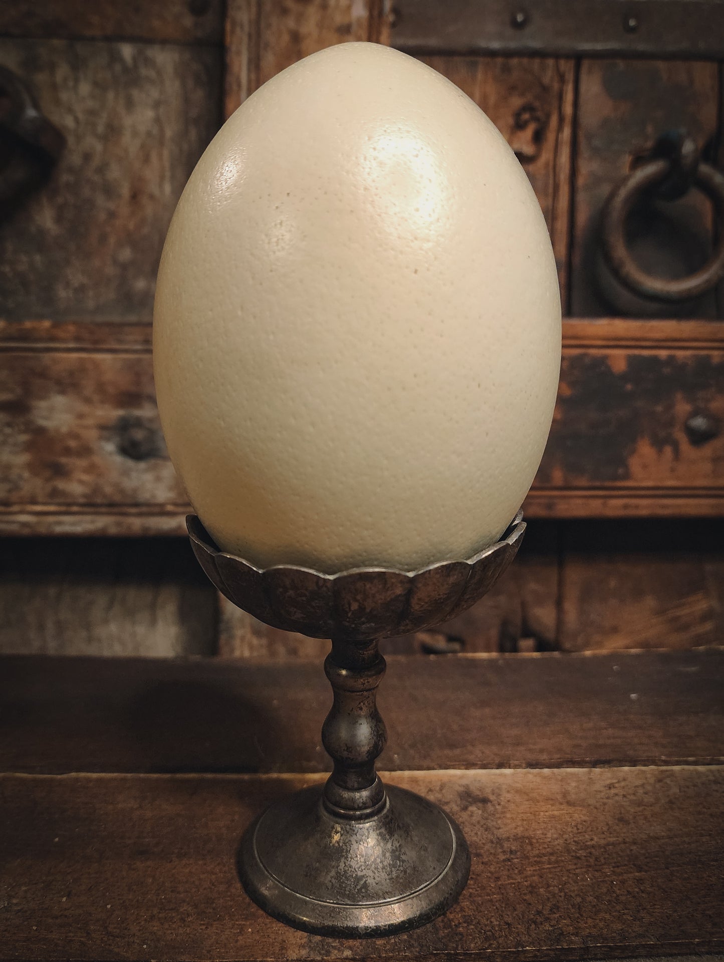 Authentic Rhea Egg